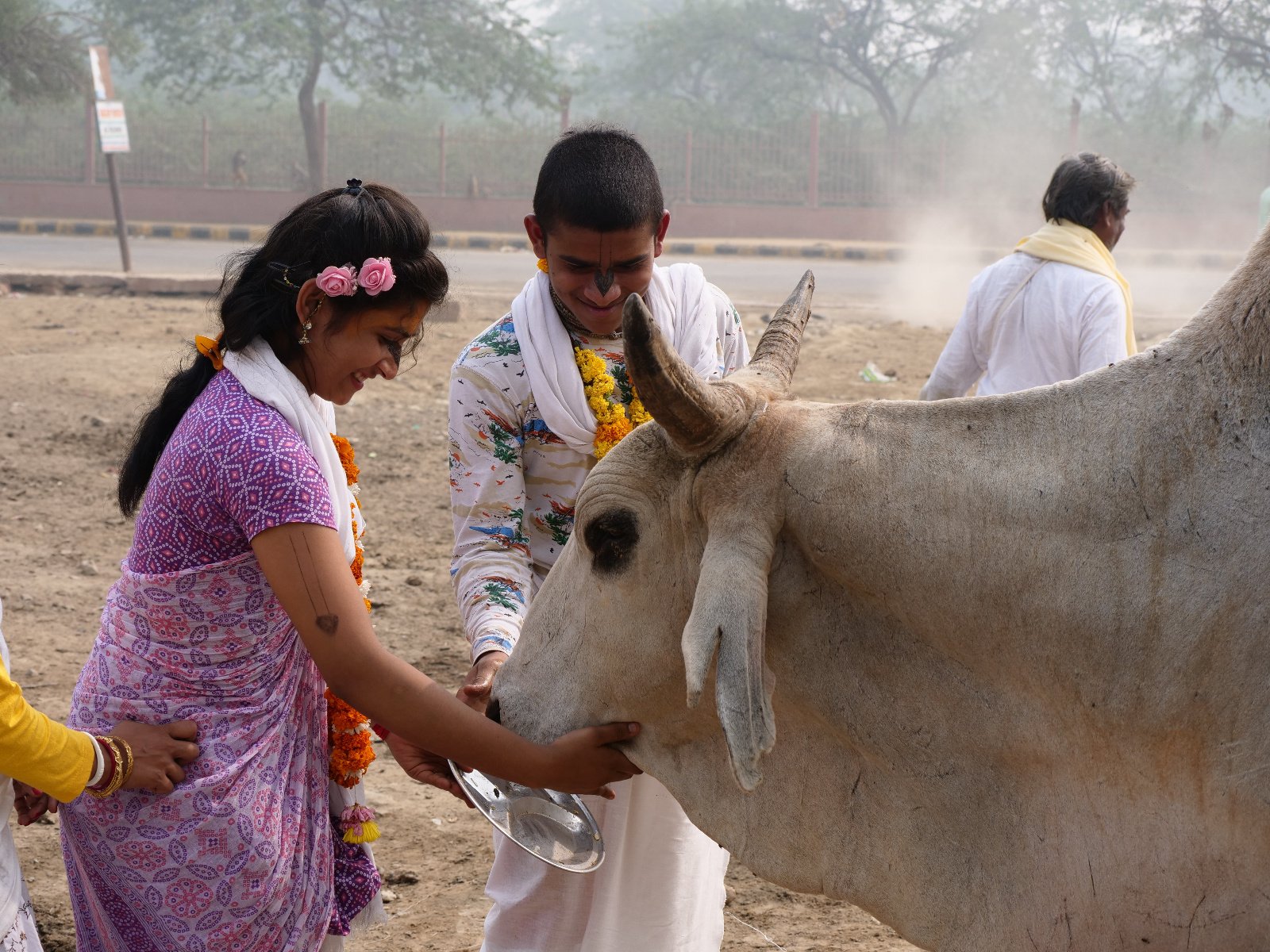  202 Gopashtami Radha kunda Govardhan 19.11.04